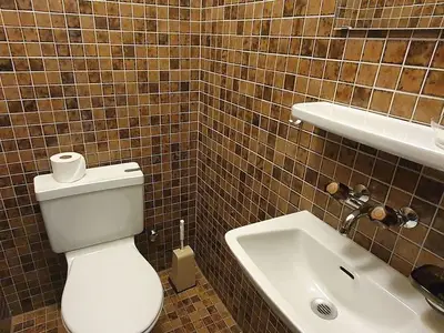 Ferienwohnung für 5 Personen (62 m²) in Lenzerheide/Lai 9/10