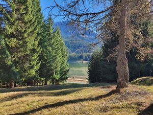 23860645-Ferienwohnung-5-Lenzerheide/Lai-300x225-2