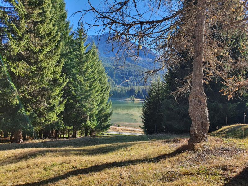 23860645-Ferienwohnung-5-Lenzerheide/Lai-800x600-2