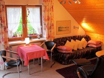 Ferienwohnung für 3 Personen (40 m²) in Lenzkirch 9/9