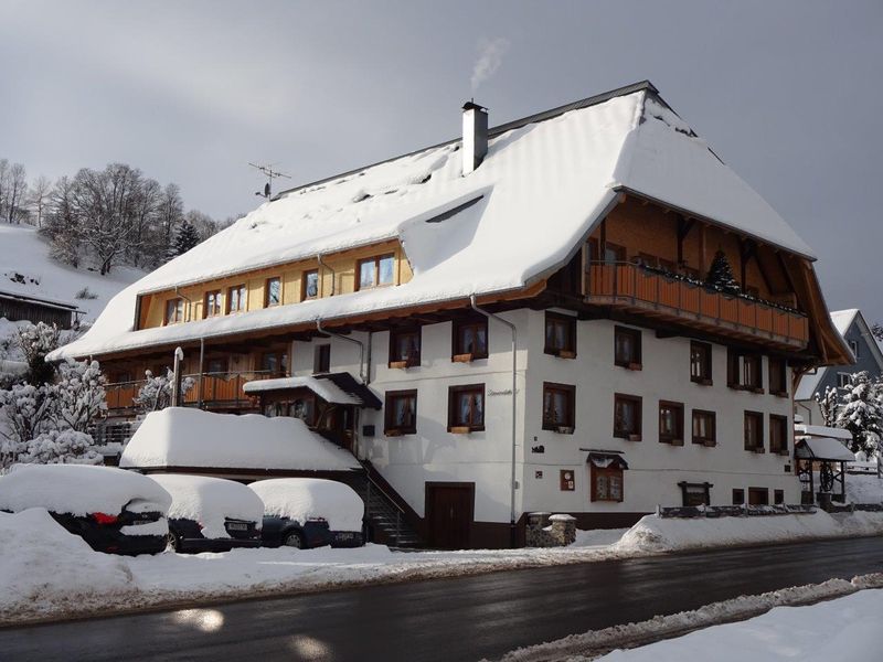 19052121-Ferienwohnung-6-Lenzkirch-800x600-1