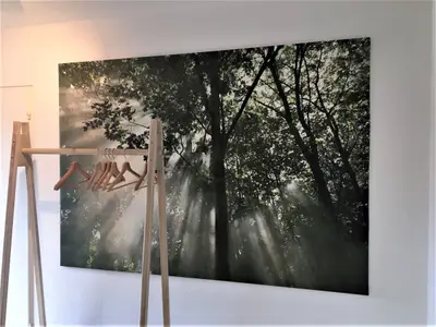 Ferienwohnung für 4 Personen (41 m²) in Lenzkirch 4/10