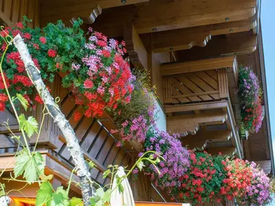 Haus Holz