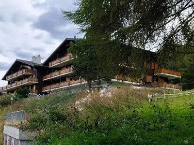 ExteriorSummer