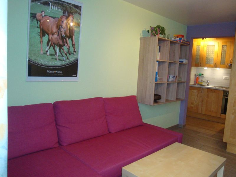 23845279-Ferienwohnung-5-Les Breuleux-800x600-2