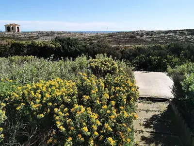 Ferienwohnung für 7 Personen (36 m²) in Leucate 6/10