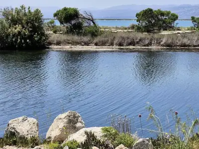 Ferienwohnung für 5 Personen (27 m²) in Leucate 1/10