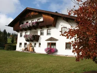 Ferienwohnung für 3 Personen (55 m²) in Leutasch 2/10