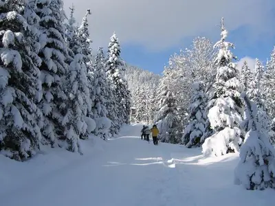 Ferienwohnung für 5 Personen (60 m²) in Leutasch 10/10