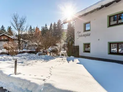 Ferienwohnung für 2 Personen (30 m²) in Leutasch 2/10