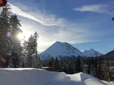 Ferienwohnung für 4 Personen (120 m²) in Leutasch 8/10