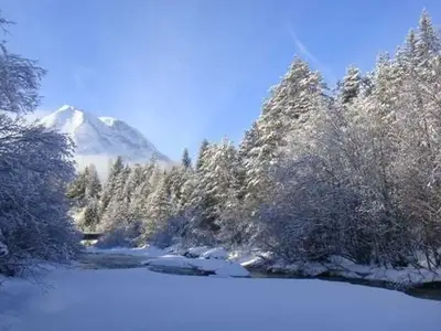 Ferienwohnung für 4 Personen (40 m²) in Leutasch 8/10
