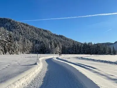 Ferienwohnung für 4 Personen (60 m²) in Leutasch 2/10
