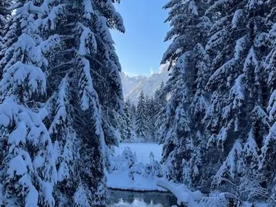 Ferienwohnung für 4 Personen (60 m²) in Leutasch 6/10