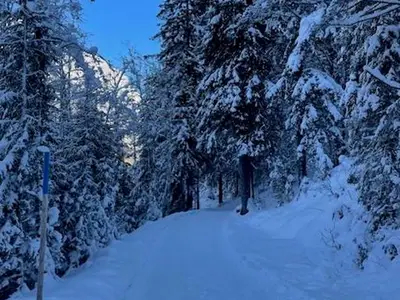 Ferienwohnung für 4 Personen (60 m²) in Leutasch 7/10