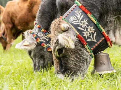 Ferienwohnung für 6 Personen (80 m²) in Leutasch 9/10