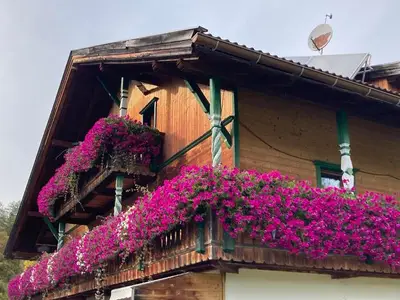 Ferienwohnung für 3 Personen (64 m²) in Leutasch 3/10
