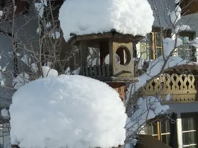 Ferienwohnung für 2 Personen (30 m²) in Leutasch 7/10