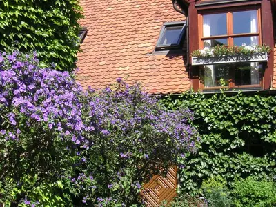 Ferienwohnung für 5 Personen (65 m²) in Leutenbach 4/10