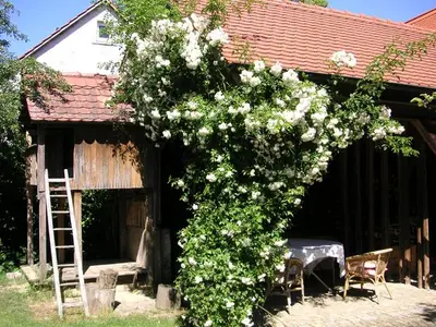 Ferienwohnung für 5 Personen (65 m²) in Leutenbach 8/10