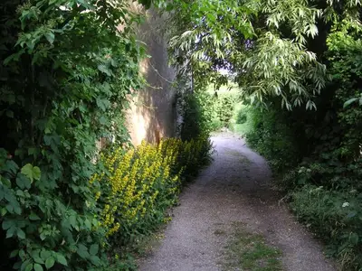 Ferienwohnung für 5 Personen (65 m²) in Leutenbach 10/10