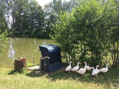 Ferienwohnung für 4 Personen (85 m²) in Leutershausen 8/10