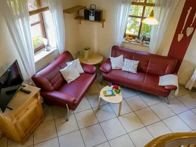 Wohnraum Katzenkörbchen