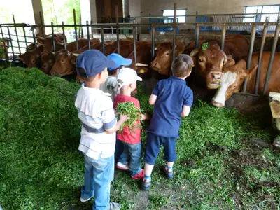 Schwabenhof - Kinder füttern