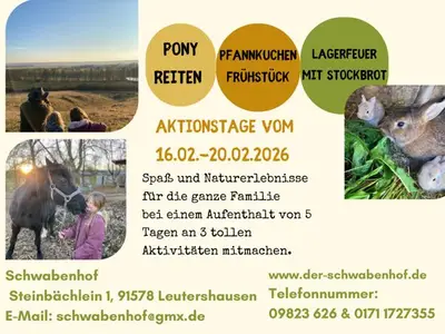 Ferienwohnung für 4 Personen (85 m²) in Leutershausen 5/10