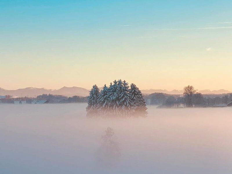 23955077-Ferienwohnung-6-Leutkirch im Allgäu-800x600-2