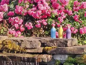 Ferienwohnung für 4 Personen (85 m²) in Lichtenborn