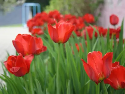 Ferienwohnung für 4 Personen (60 m²) in Lichtenhain 10/10