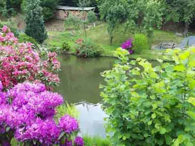 Ferienwohnung für 4 Personen (60 m²) in Lichtenhain 10/10