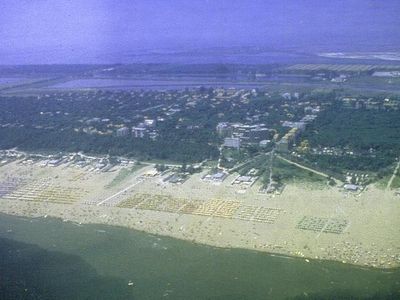 Luftaufnahme des Strandes, der Pinienwald, der Delta Park