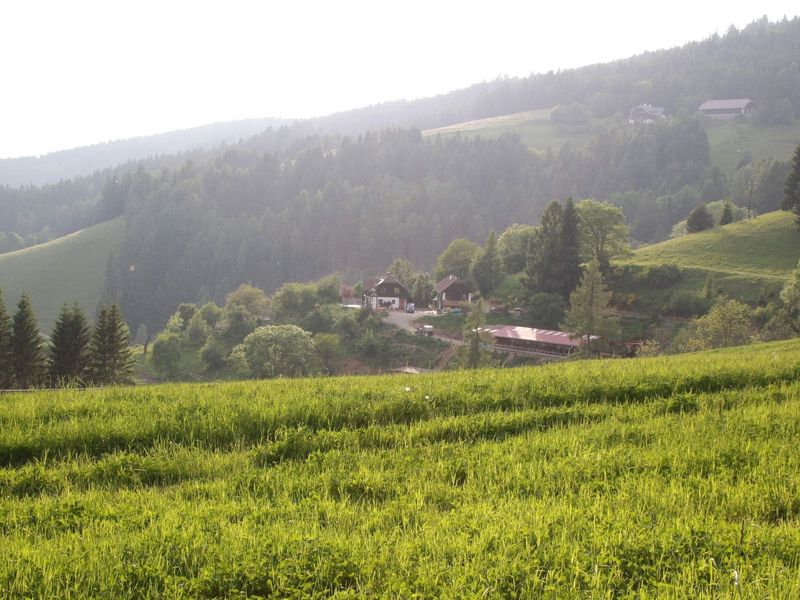 19337519-Ferienwohnung-8-Liebenfels-800x600-1