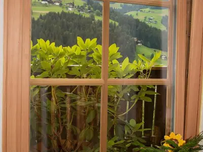 Ferienwohnung für 4 Personen (54 m²) in Liesing 7/10