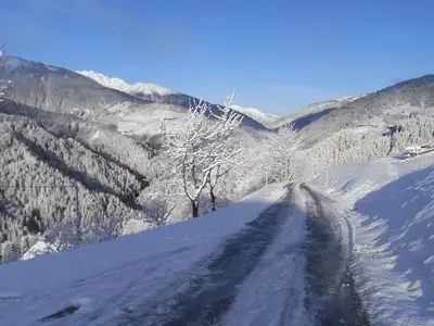Ferienwohnung für 5 Personen (55 m²) in Liesing 8/10