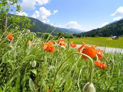 Ferienwohnung für 5 Personen in Liesing 9/10