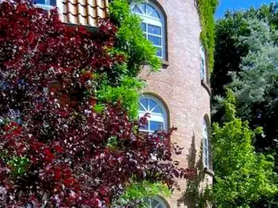 Ferienwohnung für 4 Personen (36 m²) in Lietzow auf Rügen 2/10