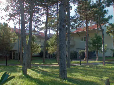 Ferienwohnung für 5 Personen (50 m²) in Lignano Sabbiadoro 10/10