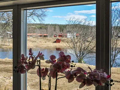 view-from-room