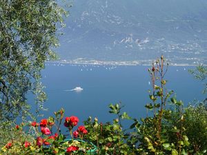 23292145-Ferienwohnung-2-Limone Sul Garda-300x225-4