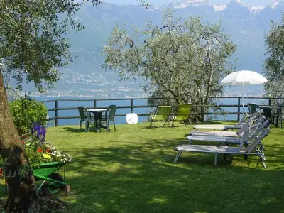 GardenSummer