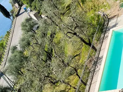 Ferienwohnung für 3 Personen (38 m²) in Limone sul Garda 4/10