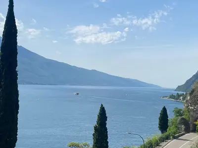 ViewSummer