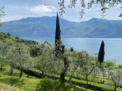 ViewSummer