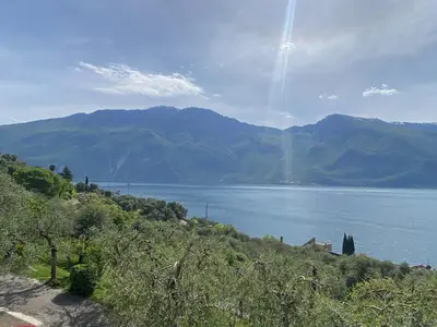 ViewSummer