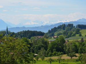 24038638-Ferienwohnung-4-Lindau-300x225-1