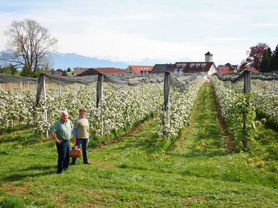 Ferienwohnung für 2 Personen (55 m²) in Lindau 5/10