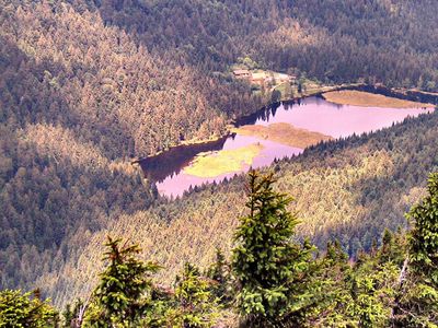 Kleiner Arbersee